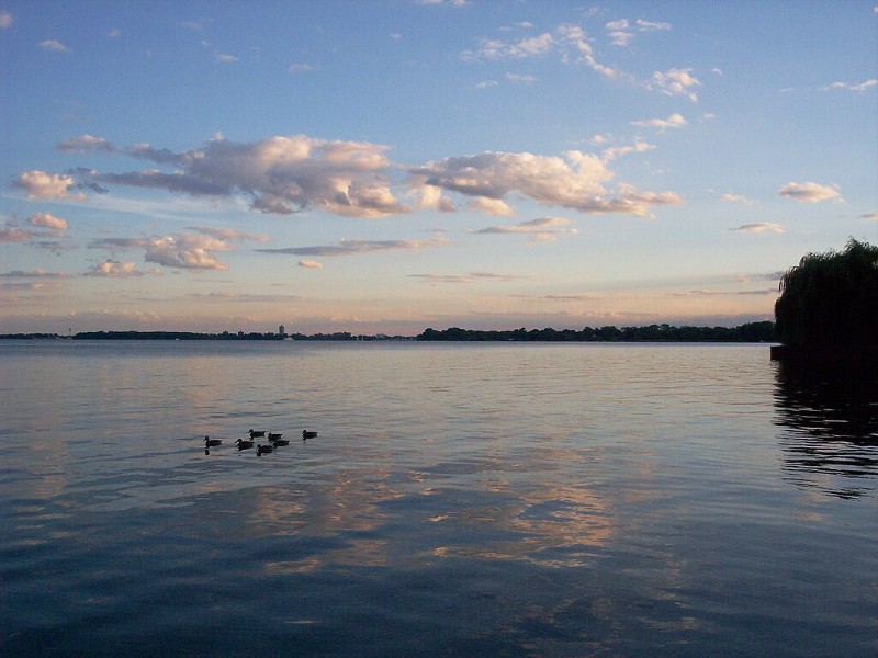 Serene Lakefront Views